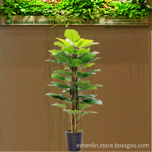 Interior green real look artificial plant for decorating